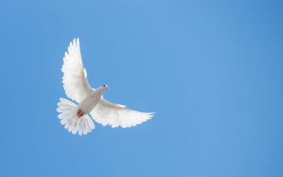 Gedenken: Ein Jahr Angriffskrieg auf die Ukraine